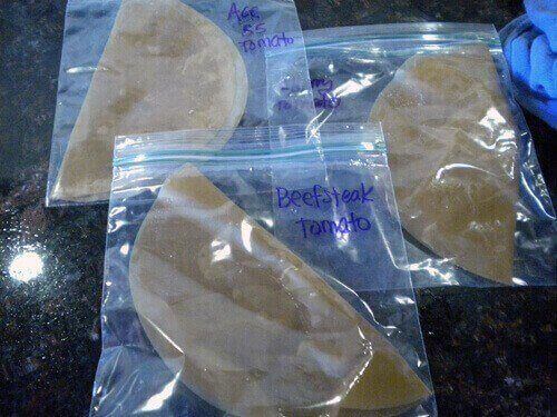 how to germinate seeds indoors