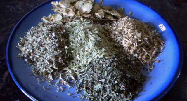 Catnip Herb Profile