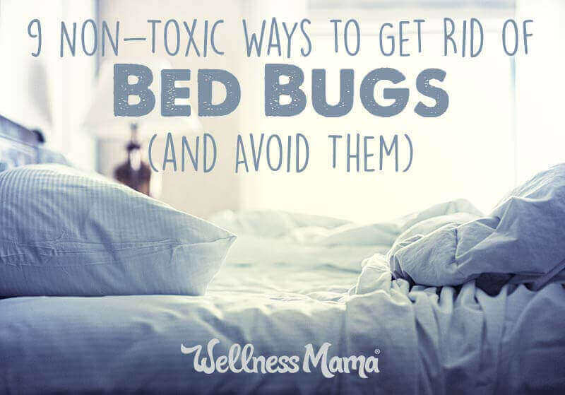 9-non-toxic-ways-to-get-rid-of-bed-bugs-and-avoid-them