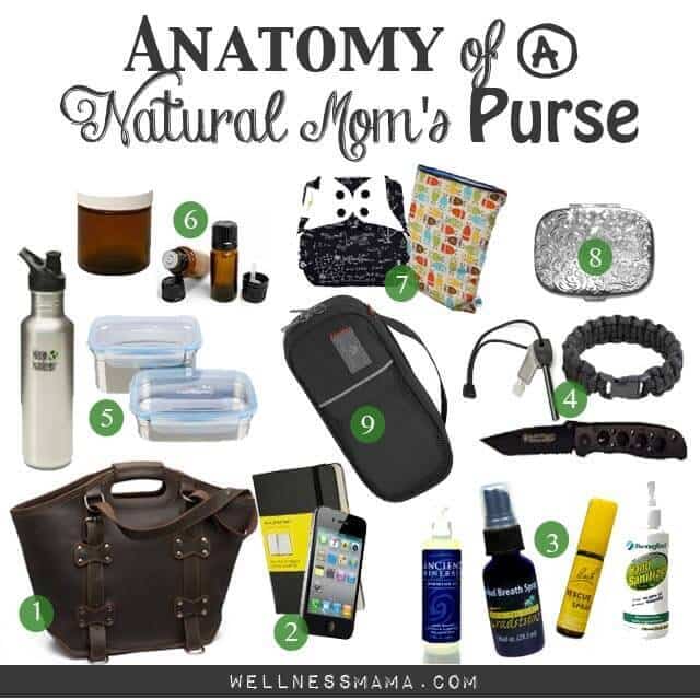Anatomy of a Natural Mama’s Purse