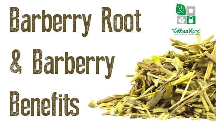 Barberry Root Herb Profile
