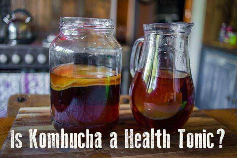 Benefits of Kombucha- is it a health tonic or dangerous