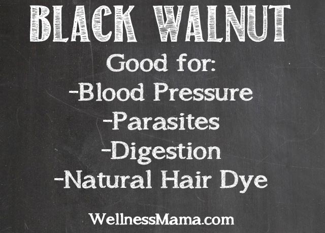 Black Walnut Herb- Good for digestion - parasite removal- hair dye