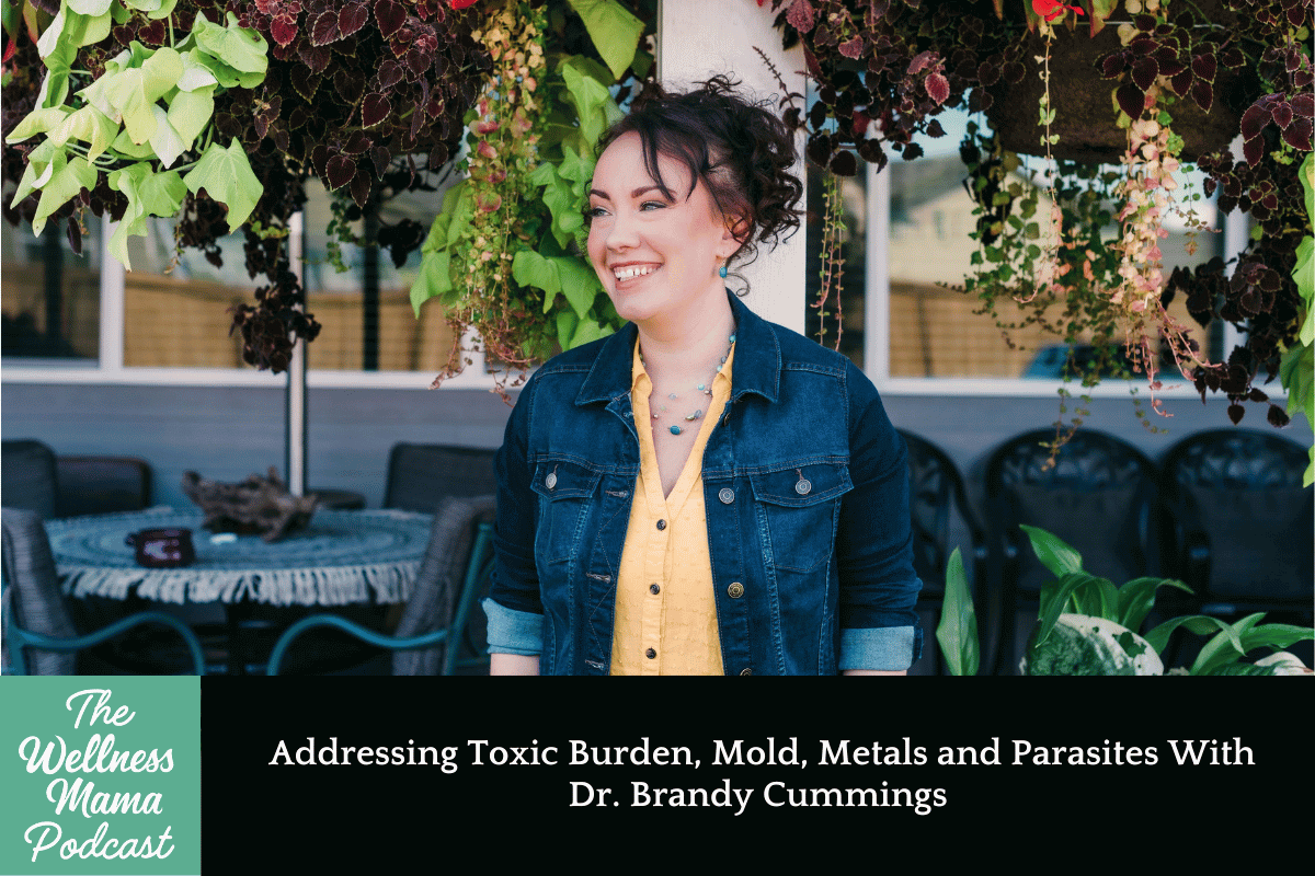 919: Addressing Toxic Burden, Mold, Metals and Parasites With Dr. Brandy Cummings