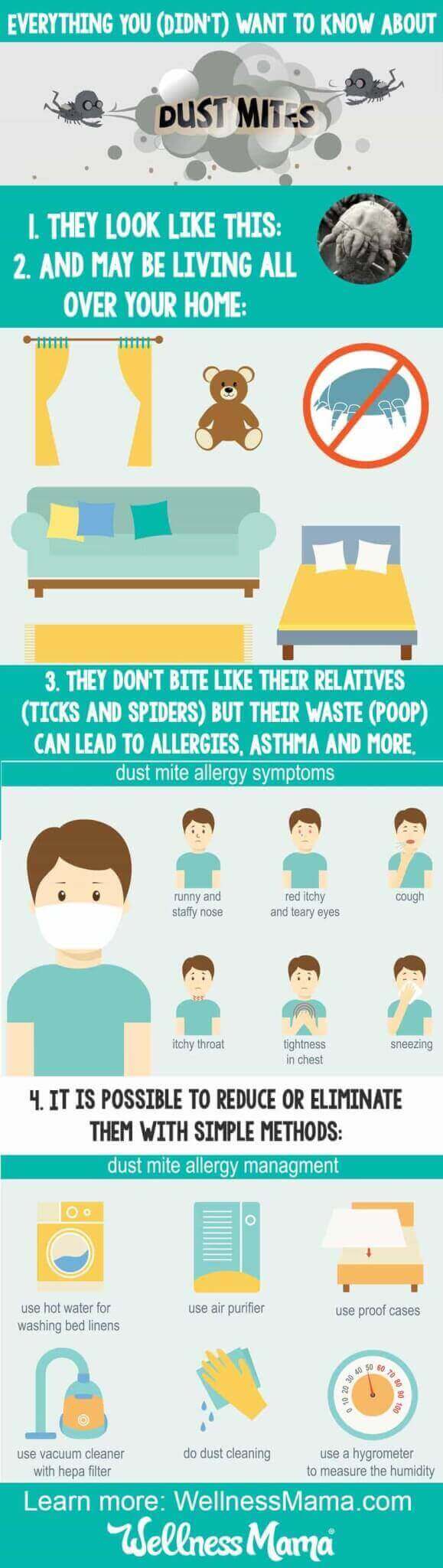 Everything you didn't want to know about dust mites and how to get rid of them