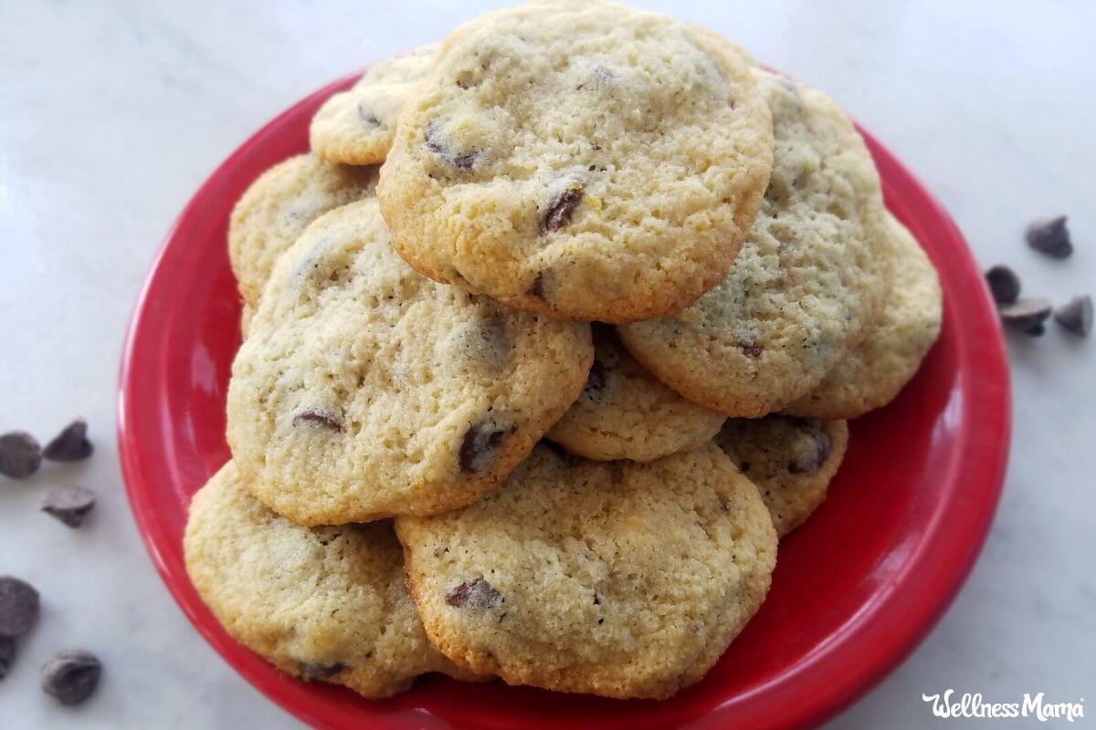 Chocolate Chip Cookies Recipe (Grain and Gluten Free)