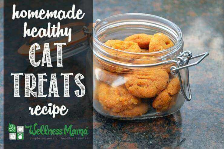 Homemade Healthy Cat Treats Recipe