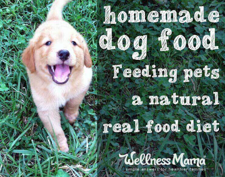 Homemade dog food- a real food diet for pets