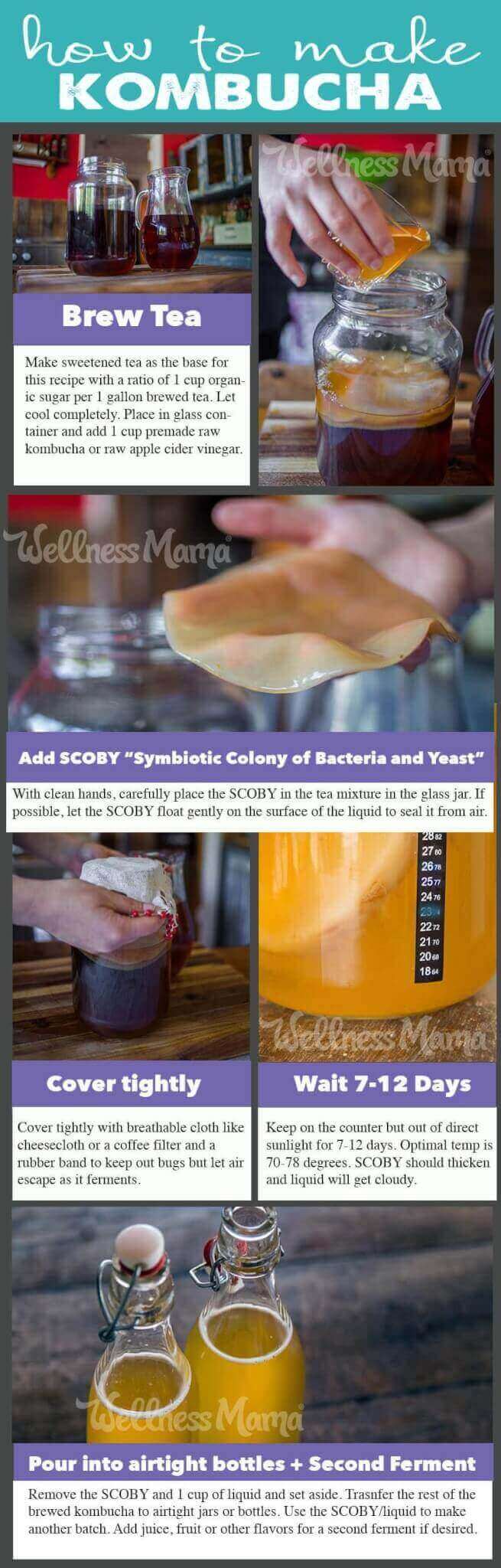 How to Make Kombucha - Picture Tutorial