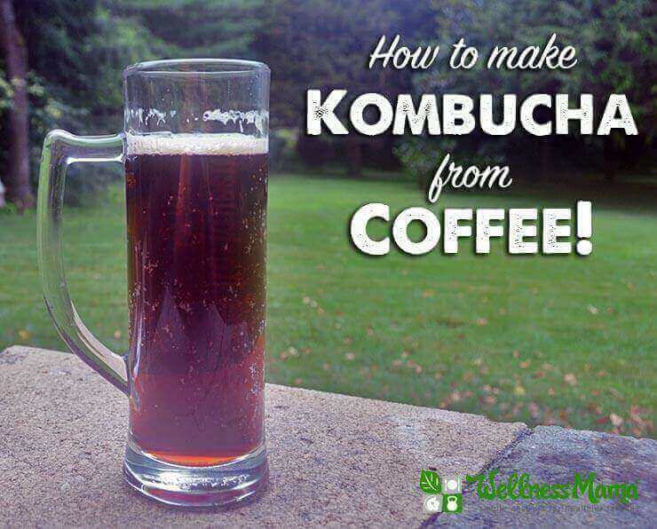 How to Make Kombucha from Coffee