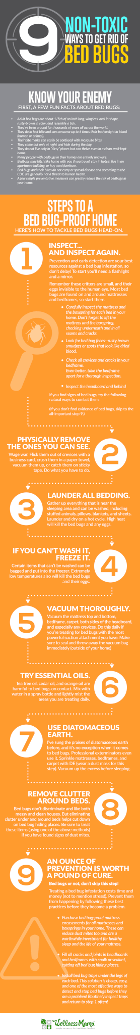 how-to-get-rid-of-bed-bugs-or-avoid-them