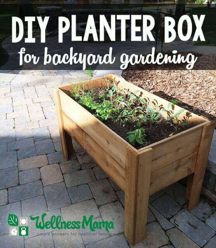 How to make a planter box for easy backyard gardening