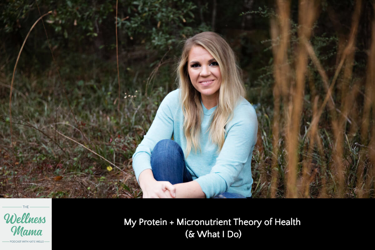 913: My Protein + Micronutrient Theory of Health (& What I Do)