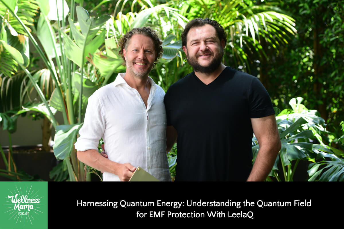 Harnessing Quantum Energy: Understanding the Quantum Field for EMF Protection with LeelaQ