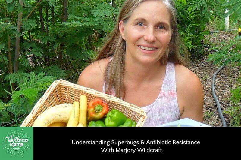 Understanding Superbugs & Antibiotic Resistance With Marjory Wildcraft