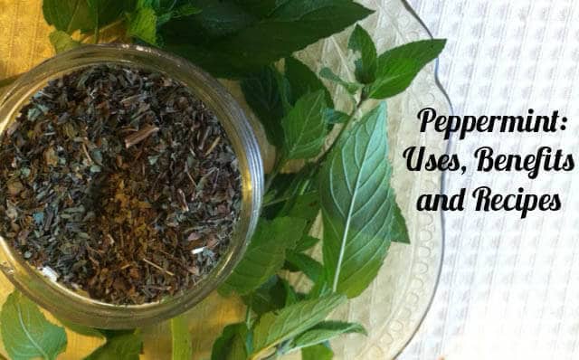 Peppermint Leaf- Ways to use and recipes
