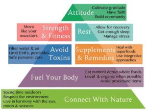 Radiant Life Fit Bottomed Zone