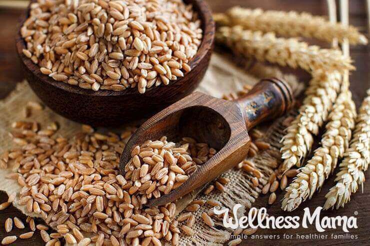 Spelt- healthy or not