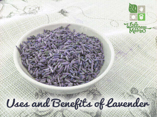 Uses and Benefits of Lavender- many ways to use this beautiful herb