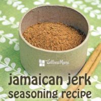 Fit Bottomed Zone Jamaican Jerk Seasoning