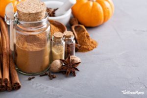 Fit Bottomed Zone Pumpkin Pie Seasoning