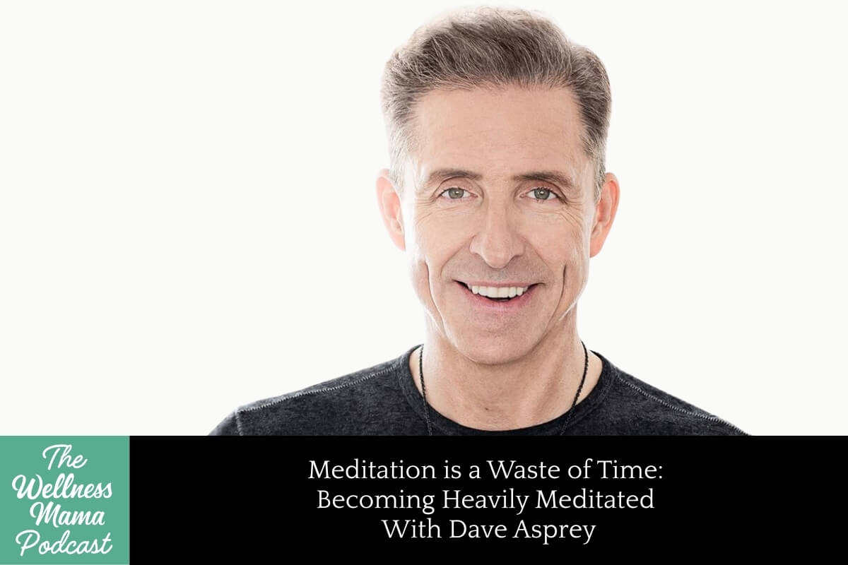 1003: Meditation is a Waste of Time: Becoming Heavily Meditated With Dave Asprey