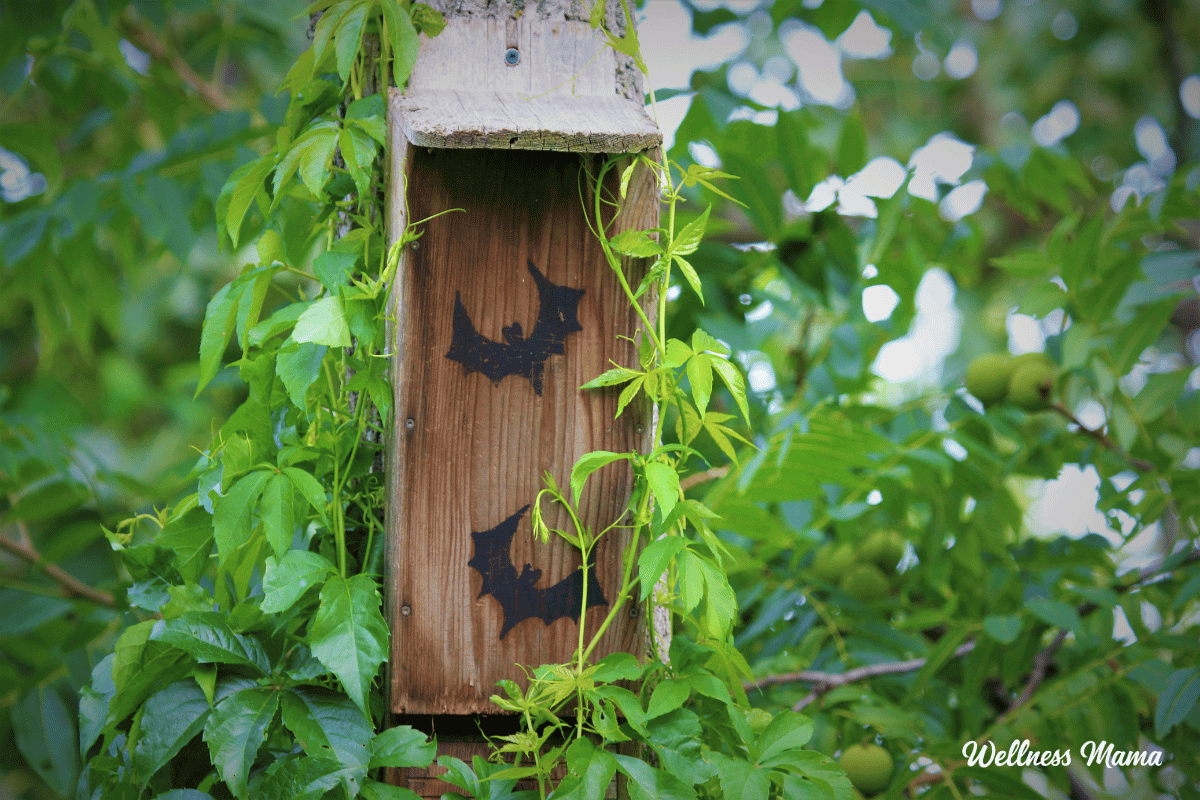 bat house