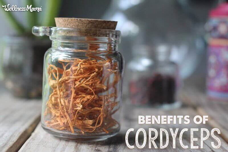 cordyceps mushrooms