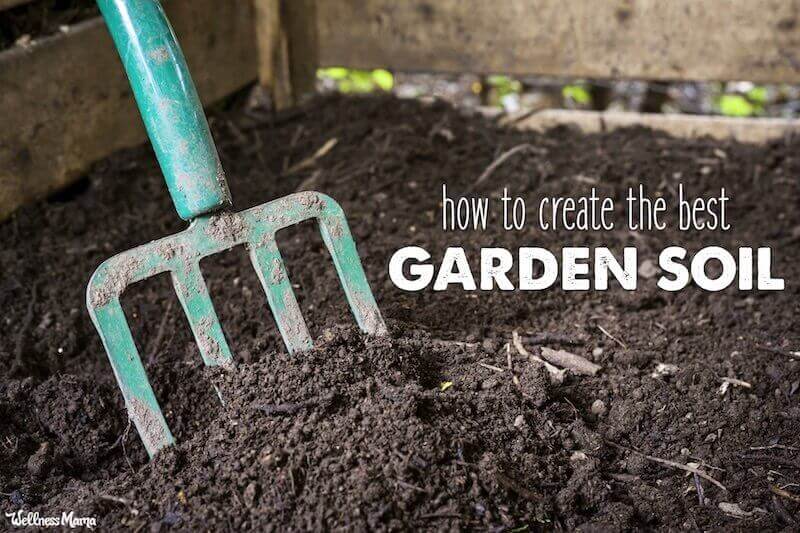 prepare garden bed