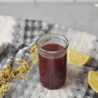 elderberry wellness shots
