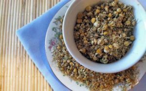 chamomile flowers chamomile flowers