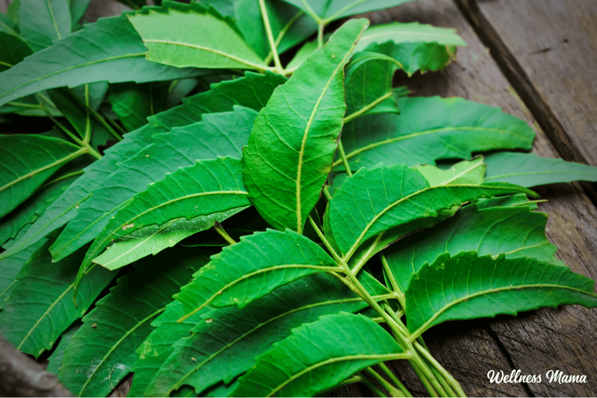 neem benefits
