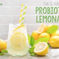 Probiotic lemonade recipe